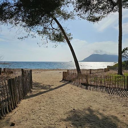 Petit Paradis Classe 3 Etoiles A 200M De La Plage! Terrasse-Wifi-Parking-Clim Saint-Mandrier-sur-Mer Esterno foto