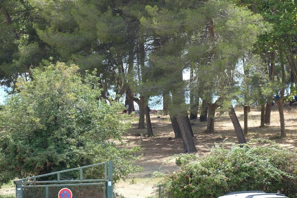 Petit Paradis Classe 3 Etoiles A 200M De La Plage! Terrasse-Wifi-Parking-Clim Saint-Mandrier-sur-Mer Esterno foto