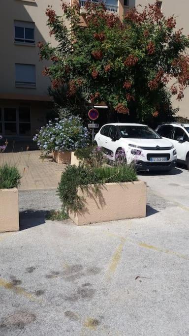 Petit Paradis Classe 3 Etoiles A 200M De La Plage! Terrasse-Wifi-Parking-Clim Saint-Mandrier-sur-Mer Esterno foto