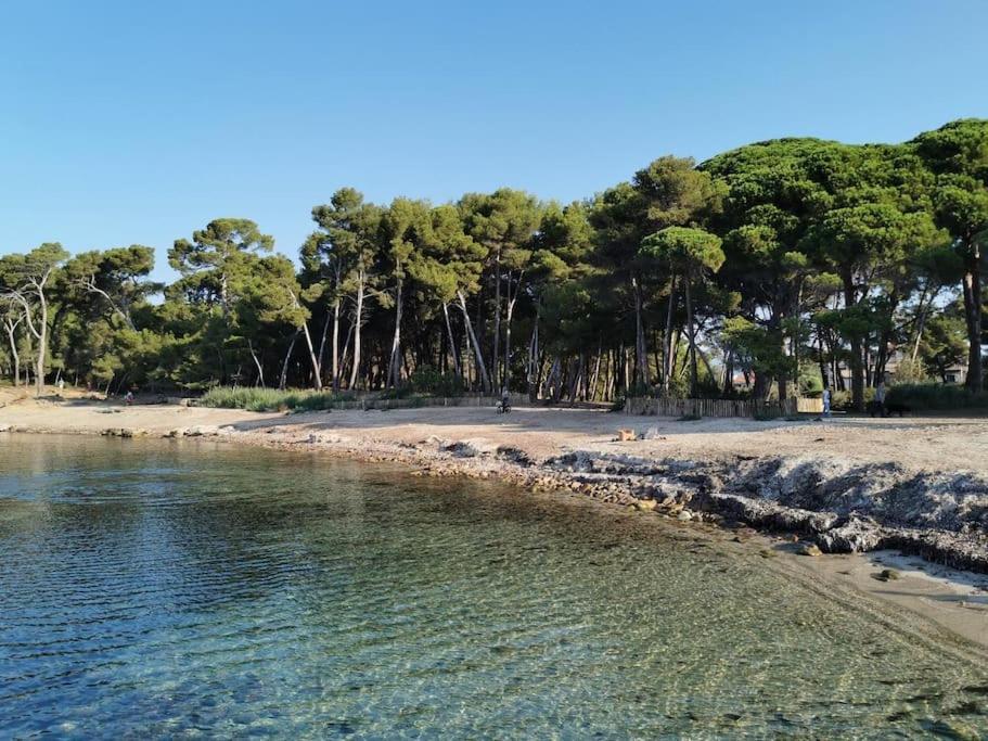 Petit Paradis Classe 3 Etoiles A 200M De La Plage! Terrasse-Wifi-Parking-Clim Saint-Mandrier-sur-Mer Esterno foto