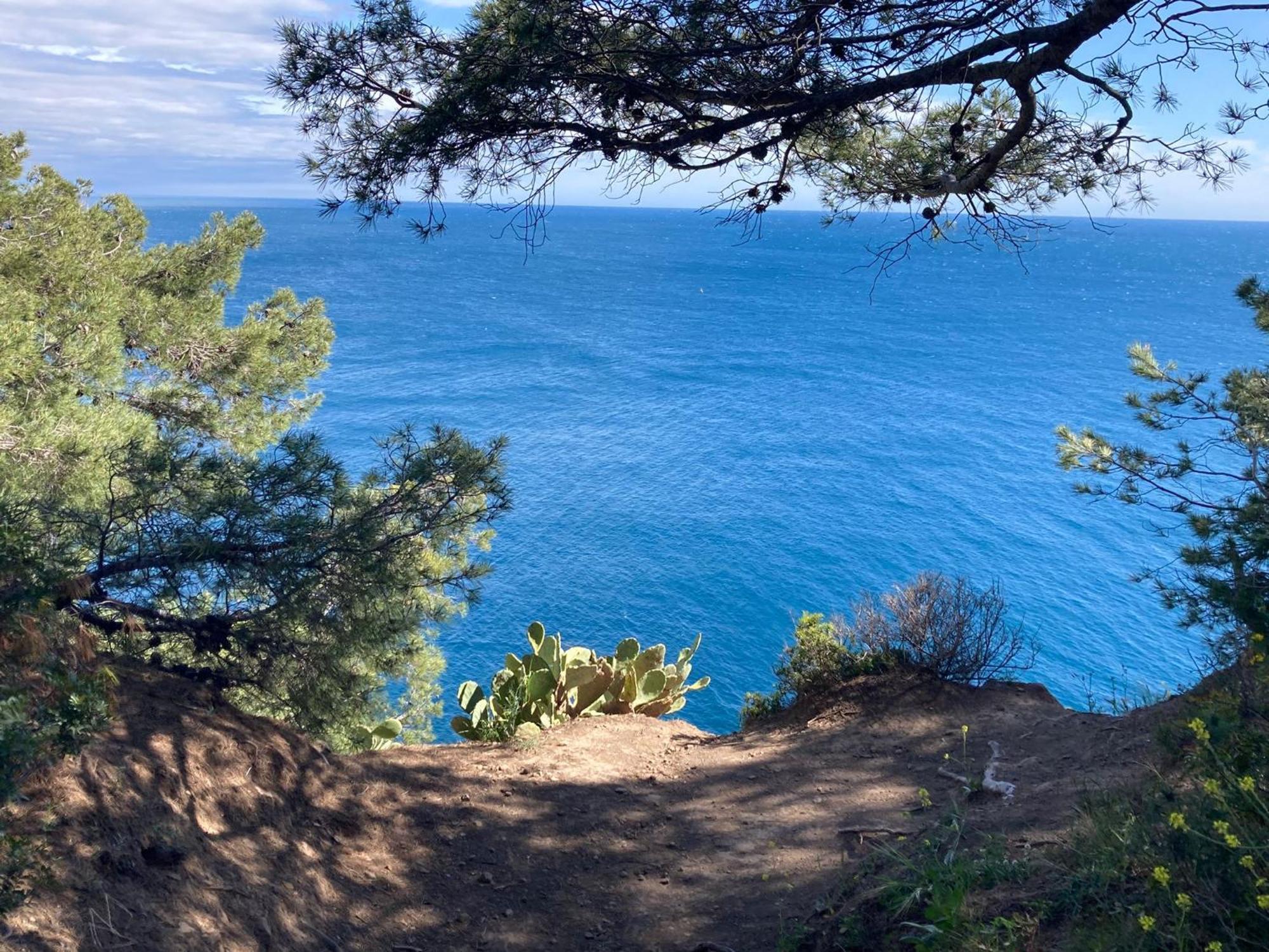 Petit Paradis Classe 3 Etoiles A 200M De La Plage! Terrasse-Wifi-Parking-Clim Saint-Mandrier-sur-Mer Esterno foto