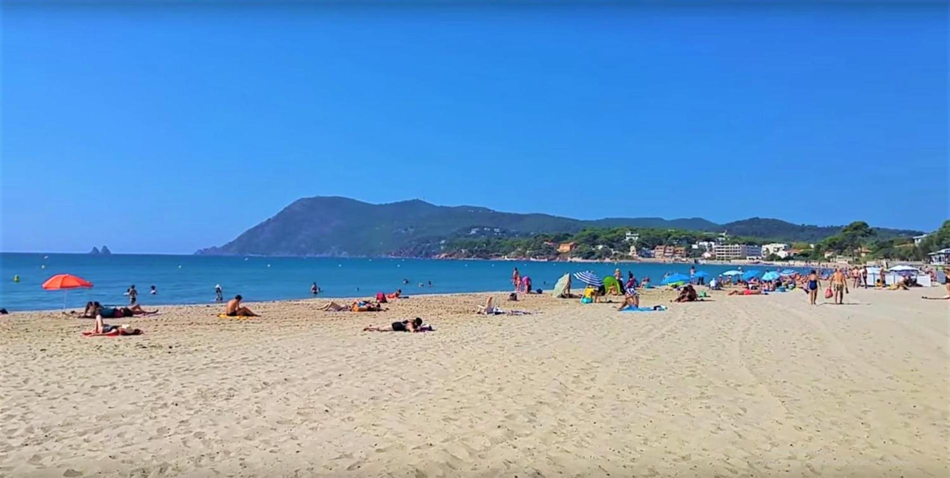 Petit Paradis Classe 3 Etoiles A 200M De La Plage! Terrasse-Wifi-Parking-Clim Saint-Mandrier-sur-Mer Esterno foto
